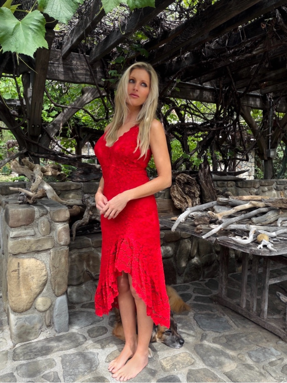 Nightcap Red Lace High-Low V-Neck Dress - Picture 2 of 7